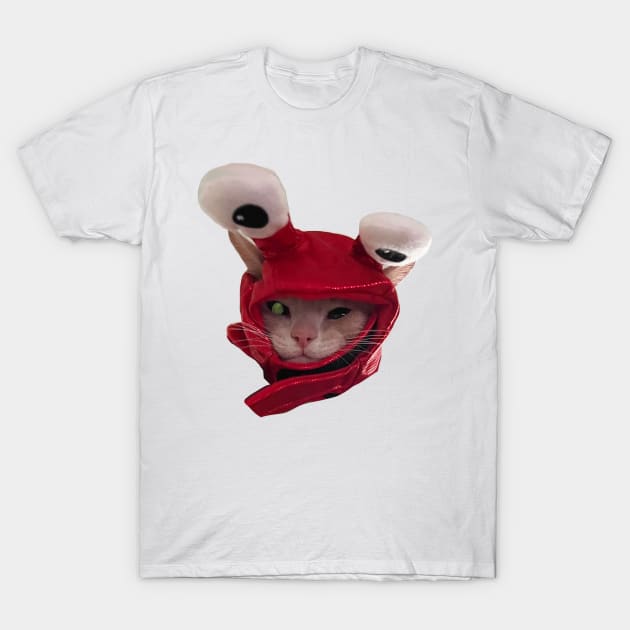 Lobster cat T-Shirt by Amanda Excell